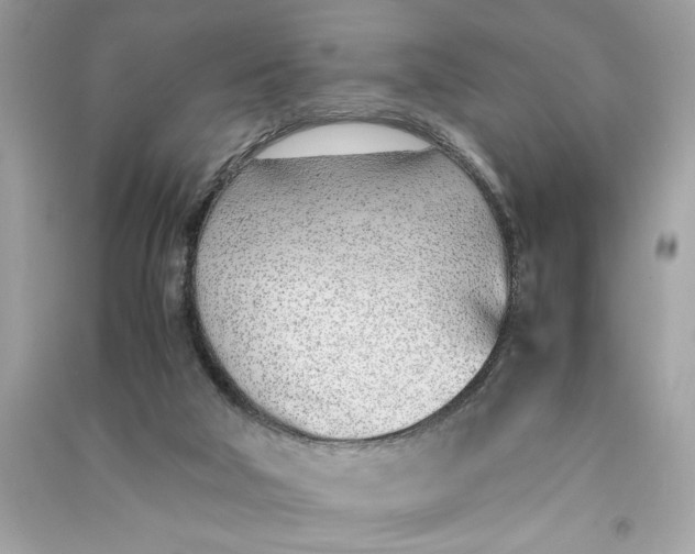 X0000090740018200708101712