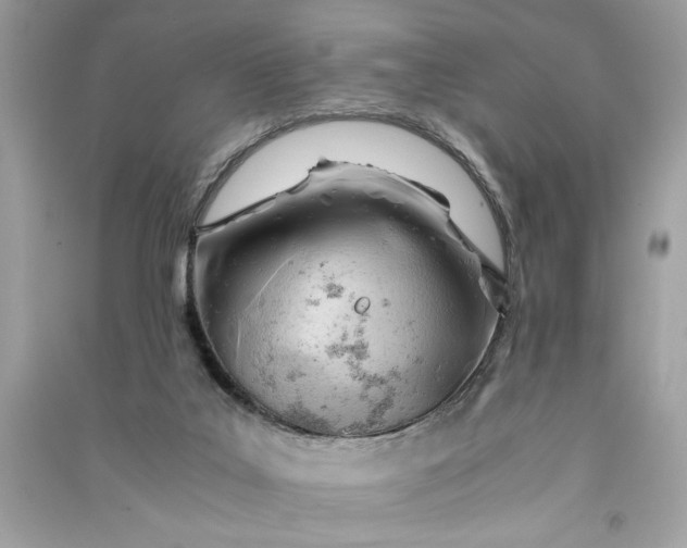 X0000090740019200708101712