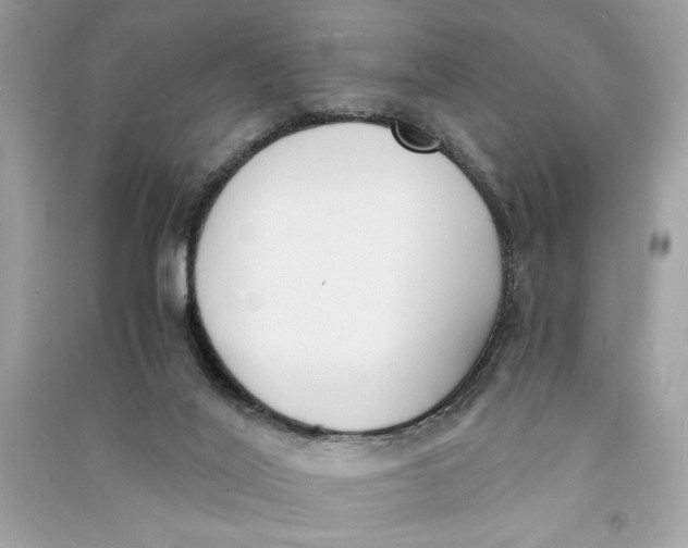 X0000090740020200708101712