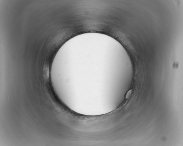 X0000090740021200708101712