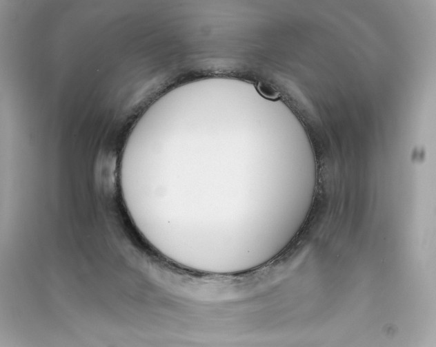 X0000090740024200708101712