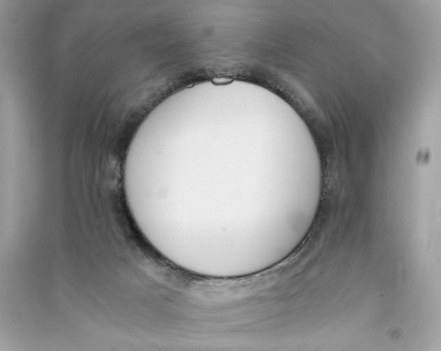 X0000090740025200708101712