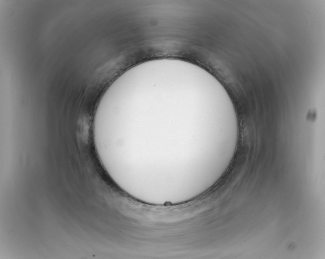 X0000090740026200708101712