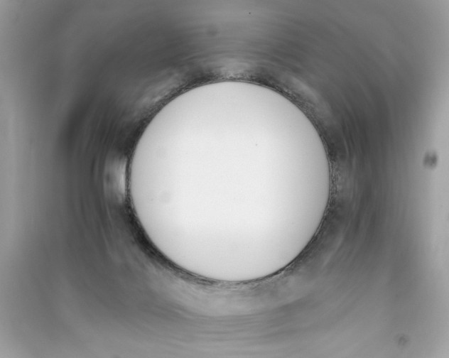 X0000090740028200708101712