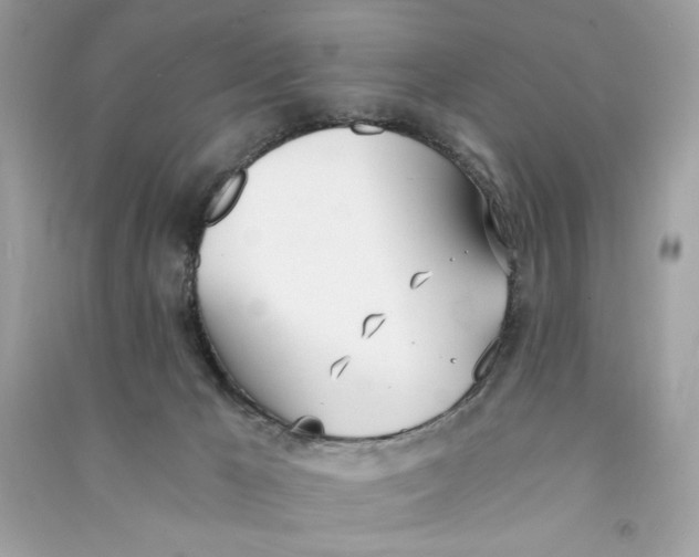 X0000090740029200708101712