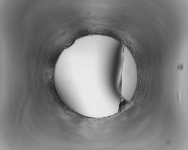 X0000090740033200708101712