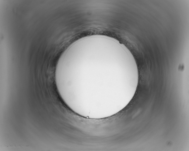 X0000090740034200708101712