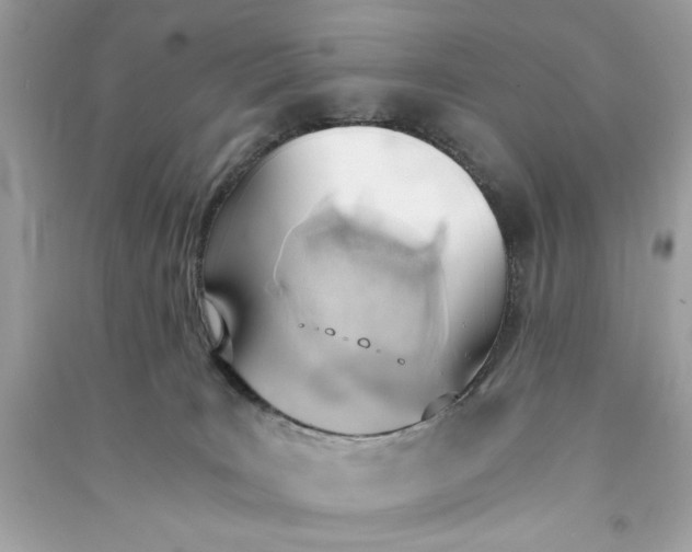 X0000090740035200708101712