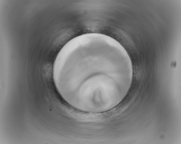 X0000090740036200708101712