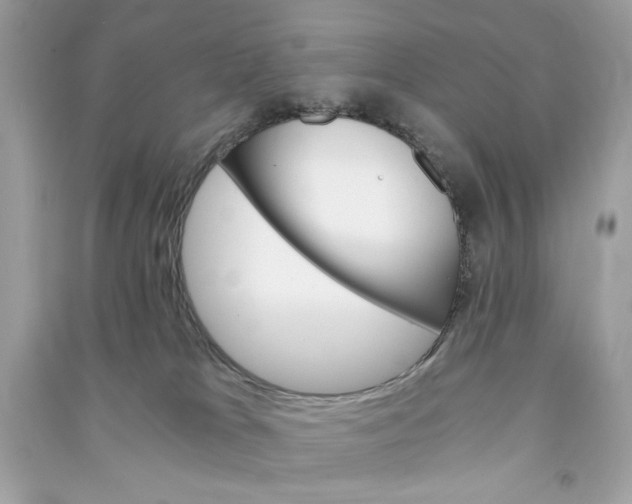 X0000090740037200708101712