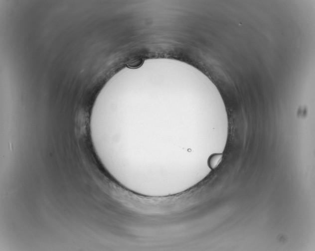 X0000090740038200708101712