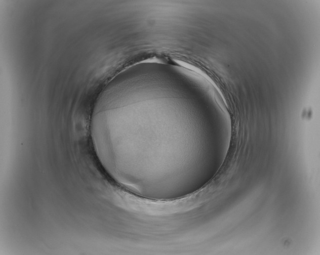 X0000090740039200708101712