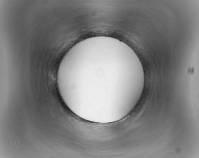 X0000090740040200708101712