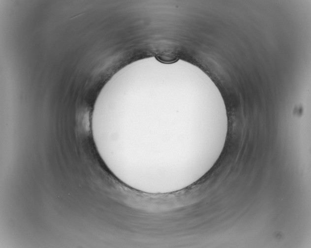 X0000090740042200708101712