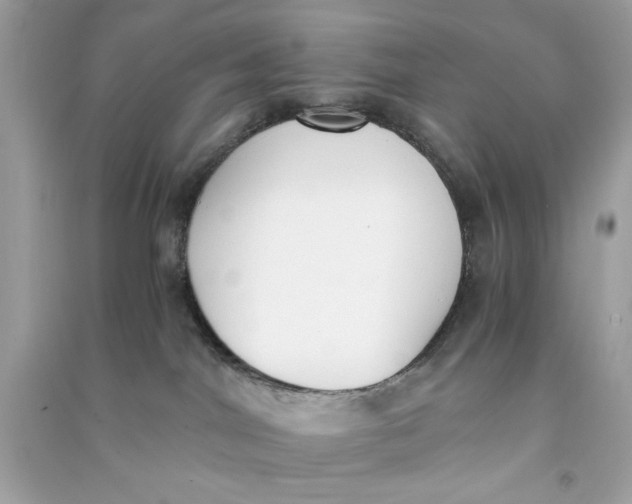 X0000090740044200708101712