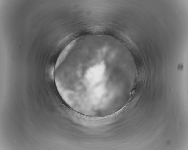 X0000090740047200708101712