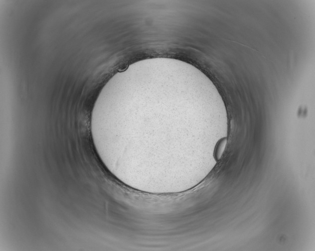 X0000090740048200708101712