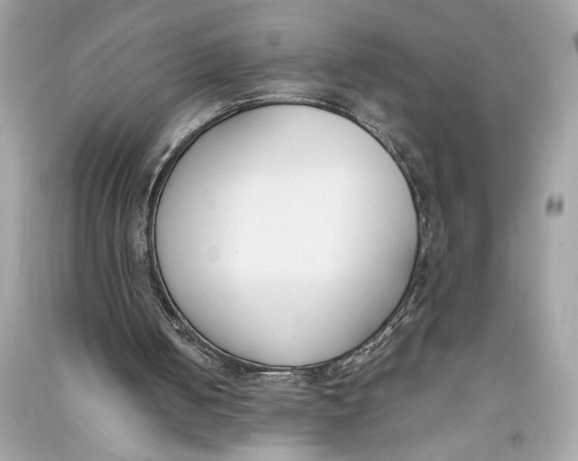 X0000090740050200708101711