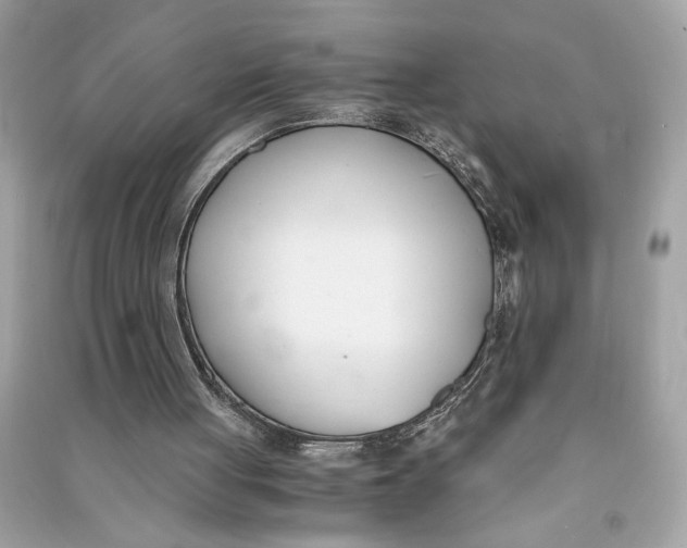 X0000090740051200708101711