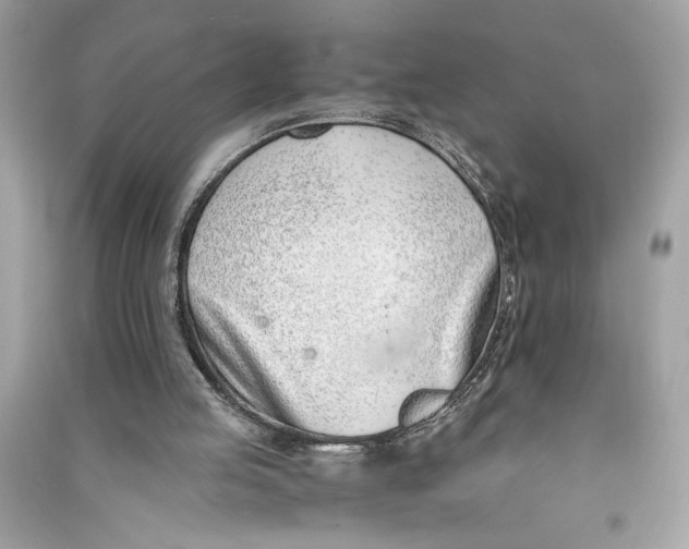 X0000090740053200708101711