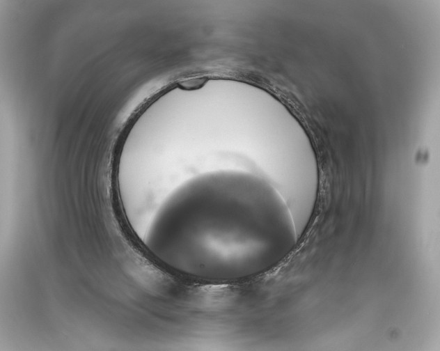 X0000090740054200708101711