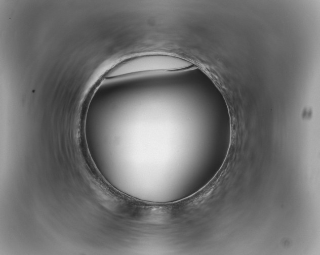 X0000090740056200708101711