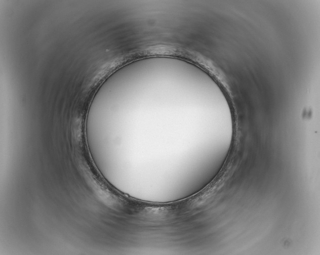 X0000090740057200708101711