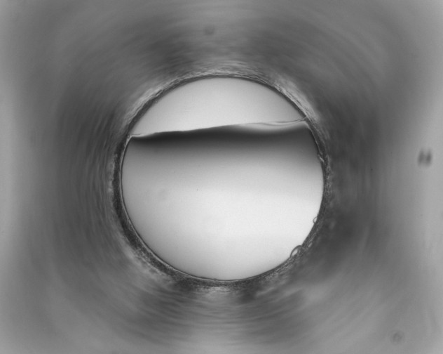 X0000090740058200708101712