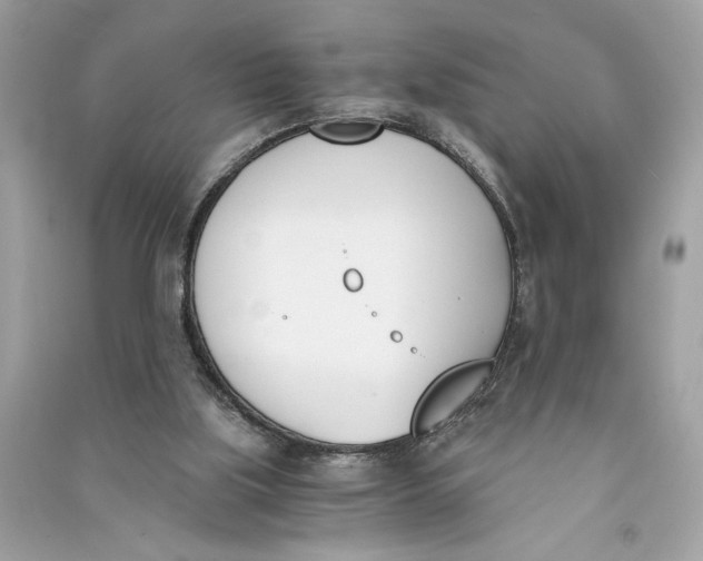 X0000090740059200708101712