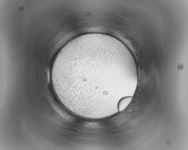 X0000090740061200708101712