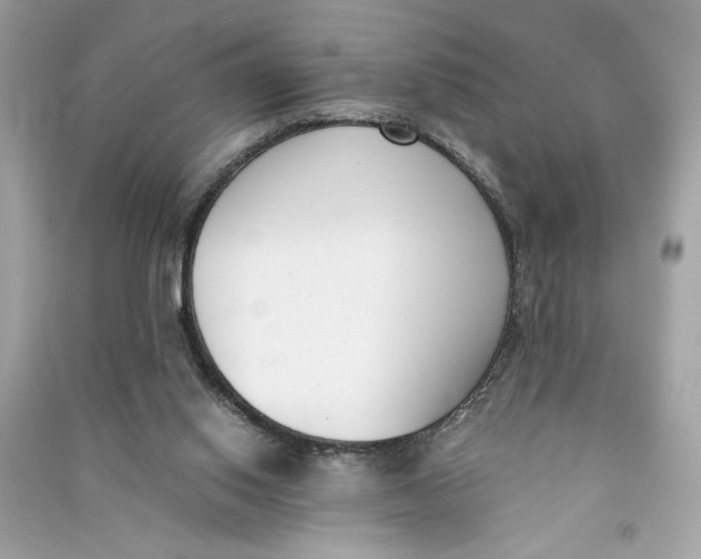 X0000090740062200708101712