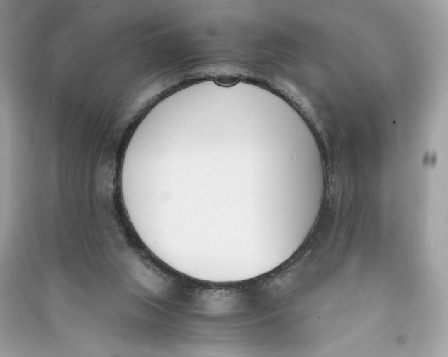 X0000090740063200708101712