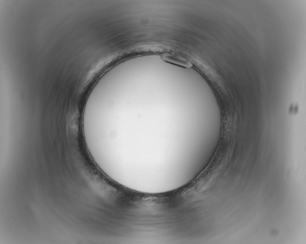 X0000090740064200708101712