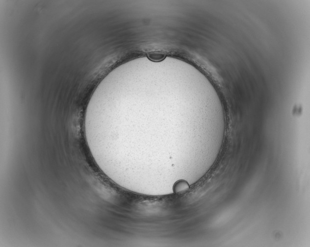 X0000090740065200708101712