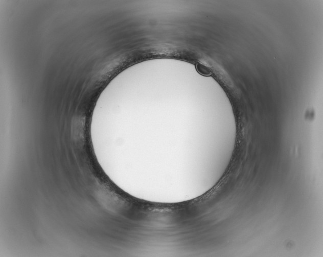 X0000090740066200708101712