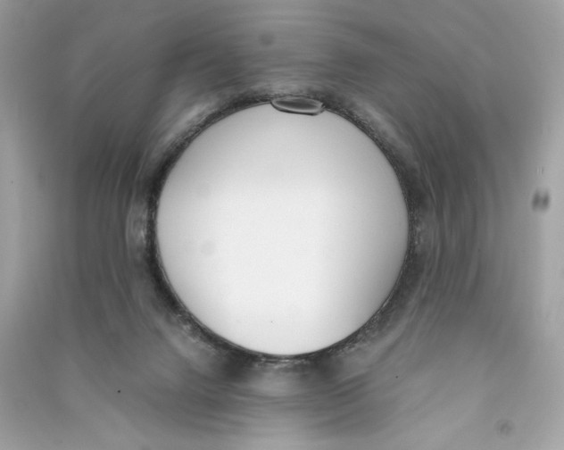 X0000090740072200708101712