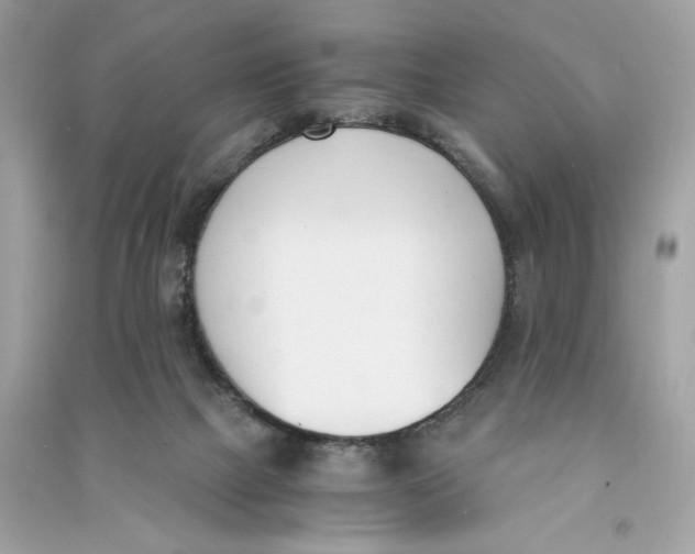 X0000090740073200708101712