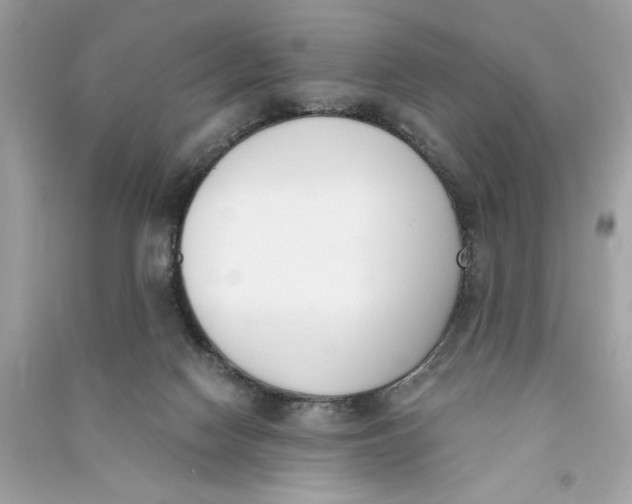 X0000090740074200708101712