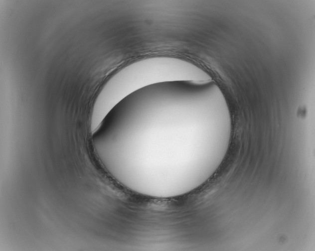 X0000090740076200708101712