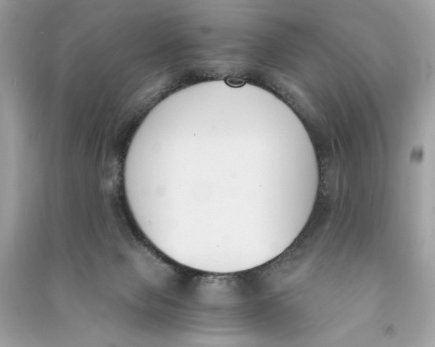 X0000090740077200708101712