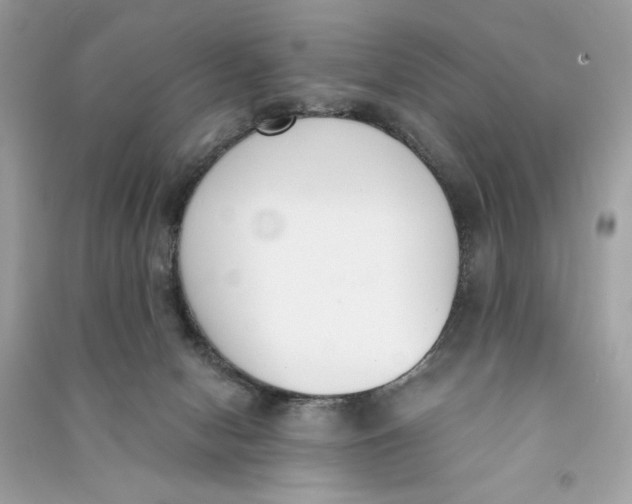 X0000090740078200708101712