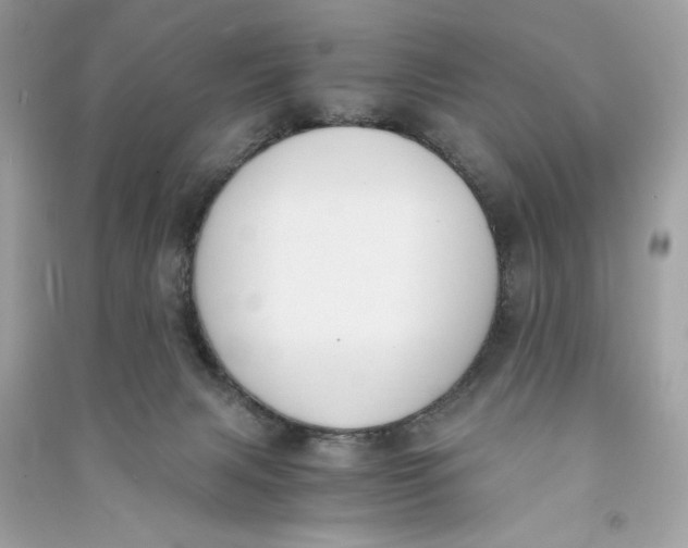 X0000090740079200708101712