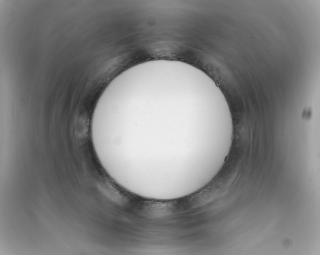 X0000090740081200708101712