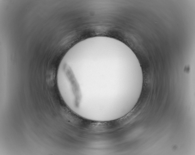 X0000090740082200708101712