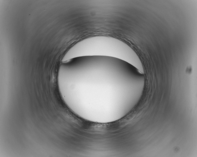 X0000090740084200708101712