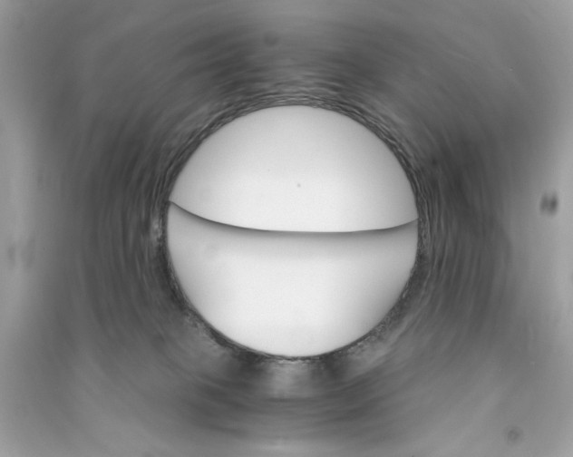 X0000090740085200708101712