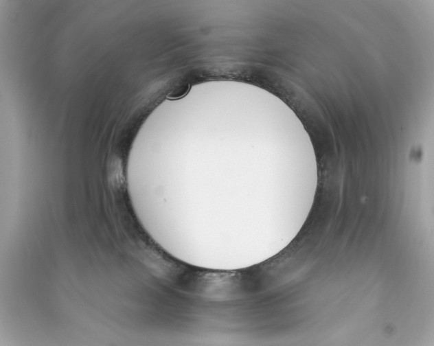 X0000090740089200708101712