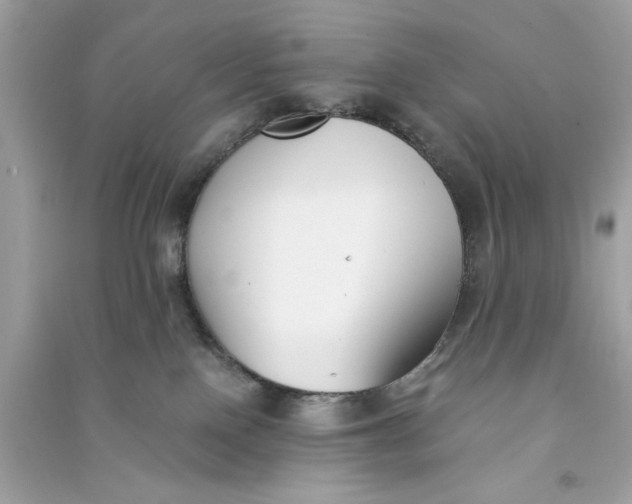 X0000090740090200708101712