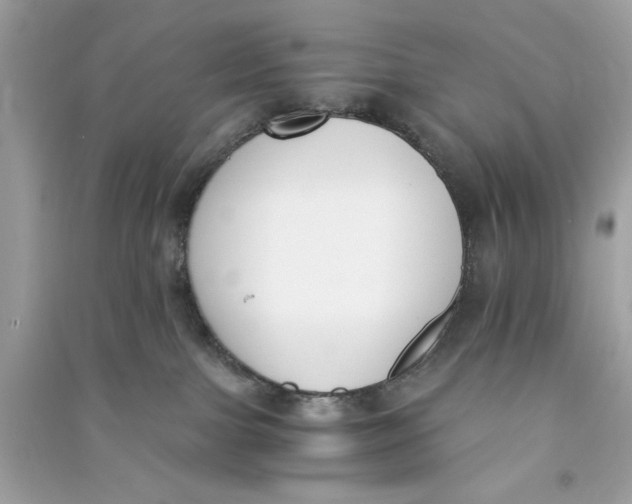 X0000090740091200708101712