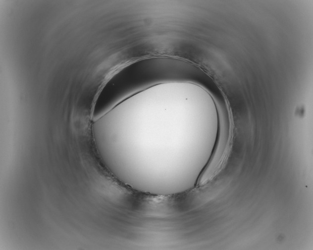 X0000090740092200708101712